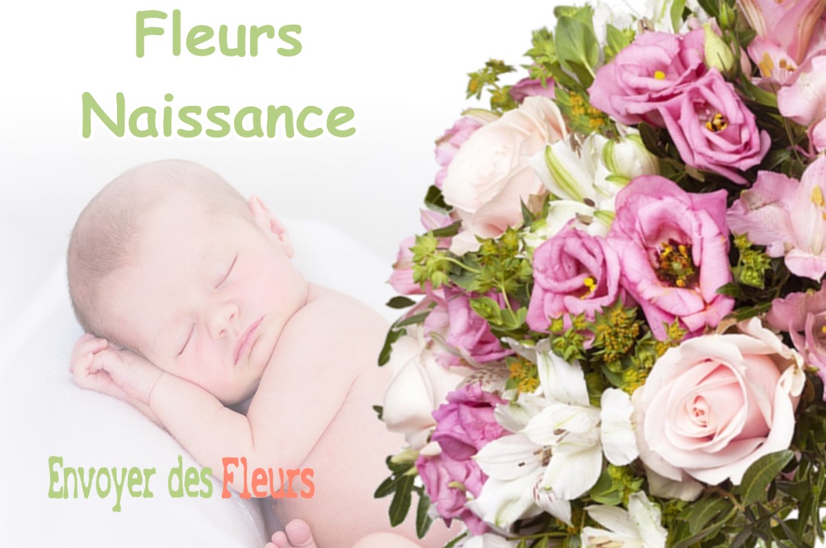 lIVRAISON FLEURS NAISSANCE à VILLEFRANCHE-SUR-MER